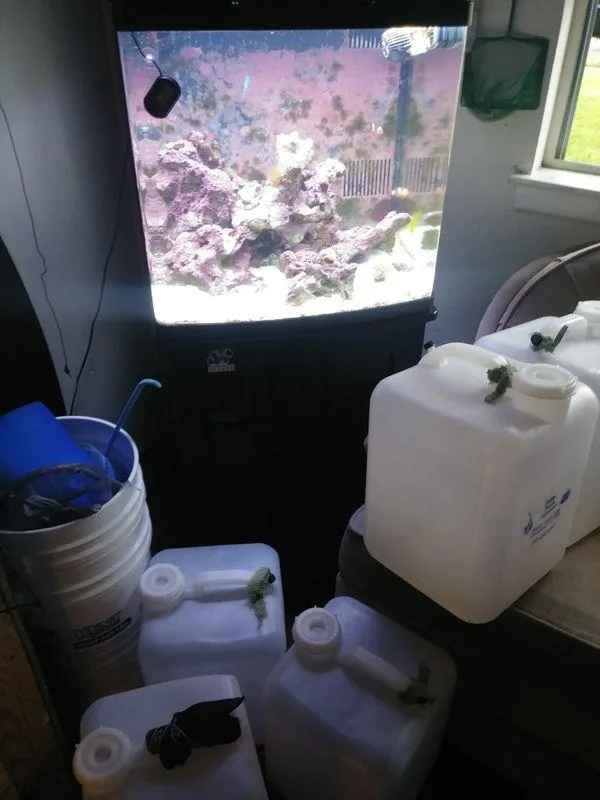 35 gal. Saltwater Nano Bio Cube (DEAL of a LIFETIME)