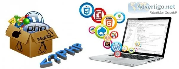 Website Design and Development Services In Noida - Grip Infotech