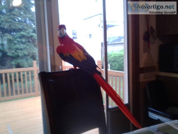 Home Away From Home For Your Pet