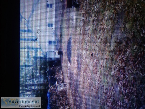 Waterfront fixer upper