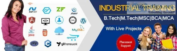 Best IT Industrial Training in Delhi  Aptech Malviya Nagar