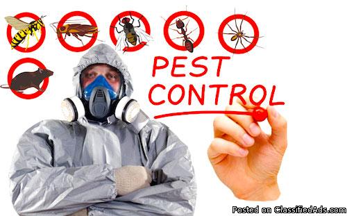 Professional Pest Control Company in Manchester