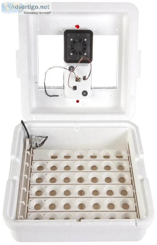 Little Giant Deluxe Incubator with Egg Turner