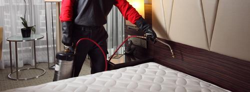 Best Bed Bug Exterminator in Manchester