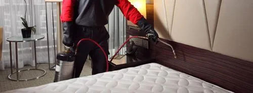 Best Bed Bug Exterminator in Manchester
