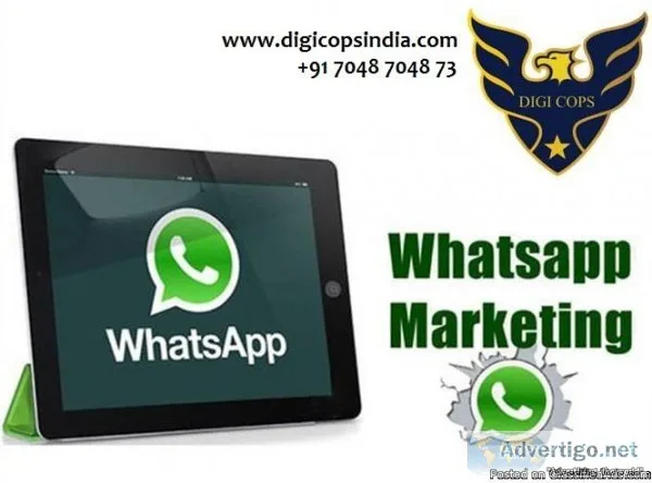DigicopsIndia Best deal for Whatsapp Marketing