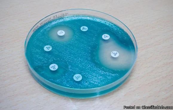 Antibiotic Sensitivity Discs