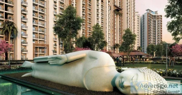 Ace Divino Stress Free Homes in Gr Noida (w)   8800904942