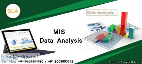 MIS Training in Gurgaon
