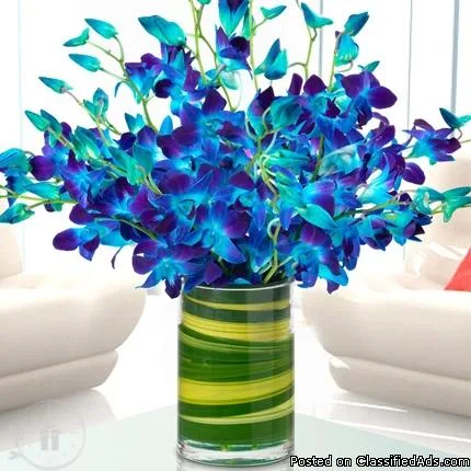 Make Your Wife Happy By Sending Her Flowers Online
