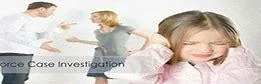 Eminent Detective for Divorce Case Investigation