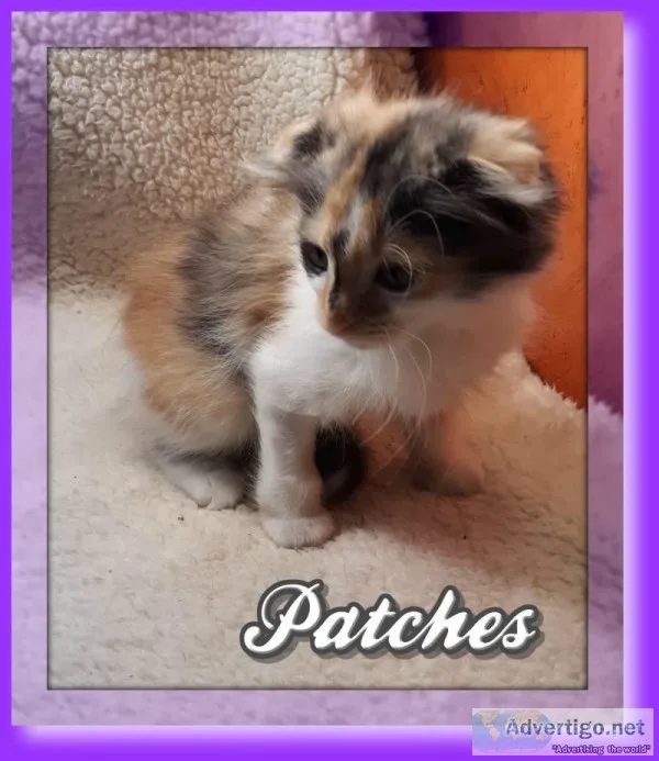 Patches Female Scottish Kilt