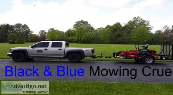 The Black and Blue Mowing Crue
