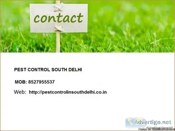 Affordable Pest Control Company In south delhi