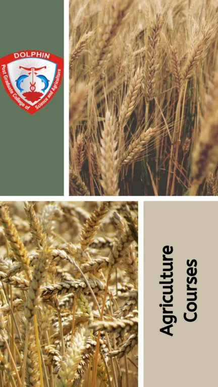 Agriculture Courses  Dolphinlifesciences