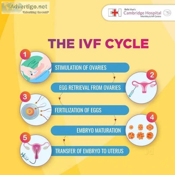 Gynecologist Obstetricians Specialists in Bangalore