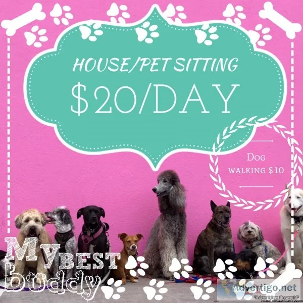 HousePet sitting
