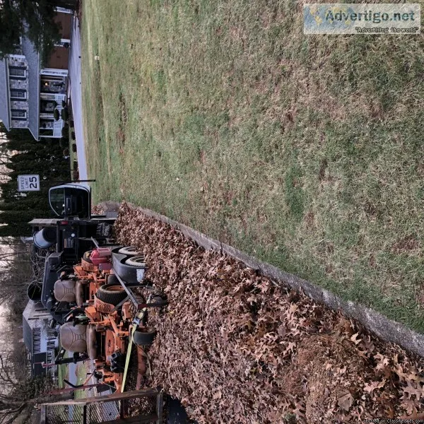 Tree work Fall clean up Hauling