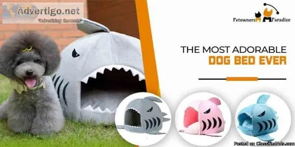 Shark dogcat bed