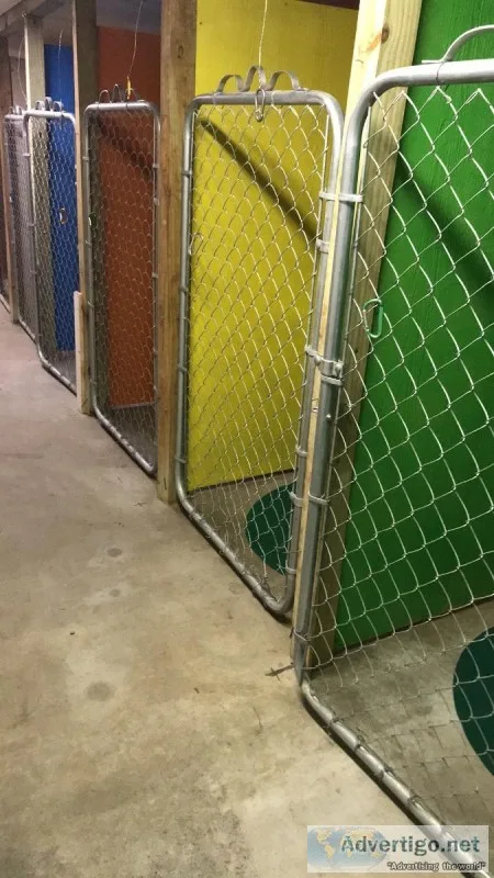 Paw Paws Dog Boarding
