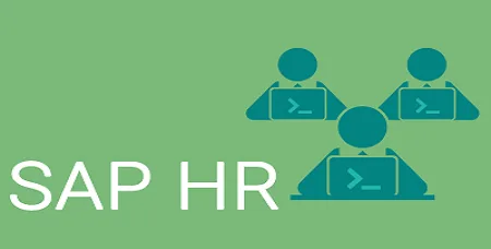 SAP HR Training Course in Delhi