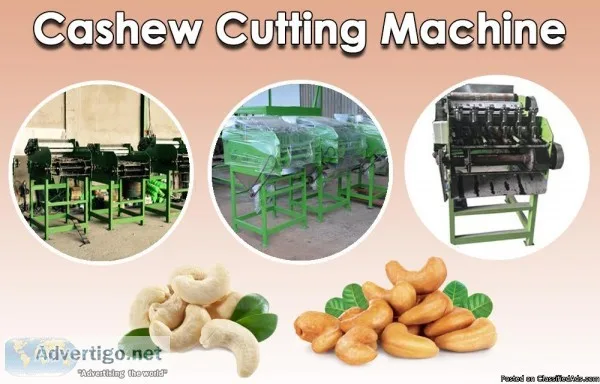 Cashew Cutting Machine with Latest Technology