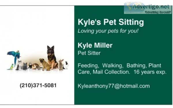 Pet Sitter