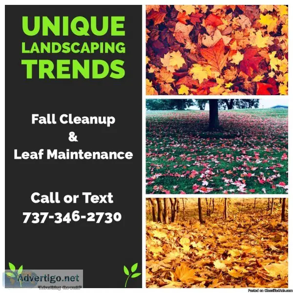  FALL CLEANUP and LEAF MAINTENANCE 