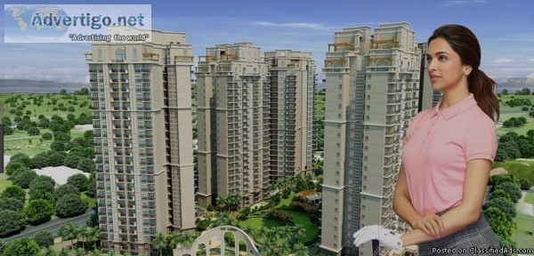 Opportunity to Buy 3 BHK Apartment with Ace Divino  8800-904-942