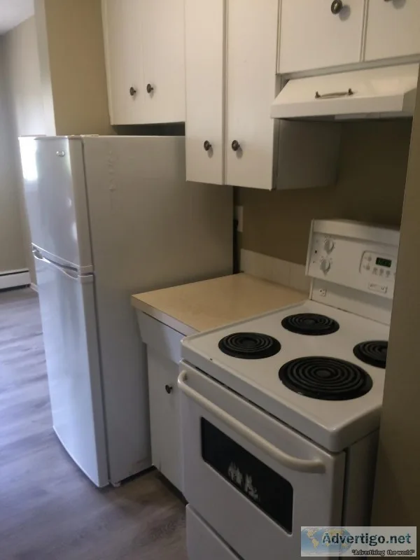 2 bedroom condo for rent