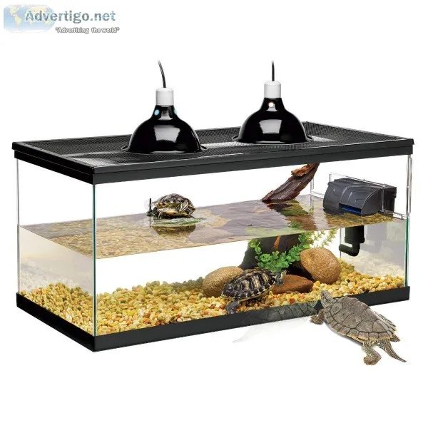 Turtle tank with accessories and turtles