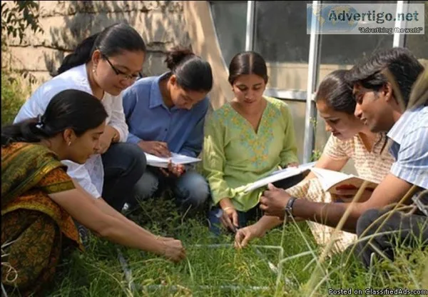 BVIEER the Best Institute for M.Sc. in Environmental Science