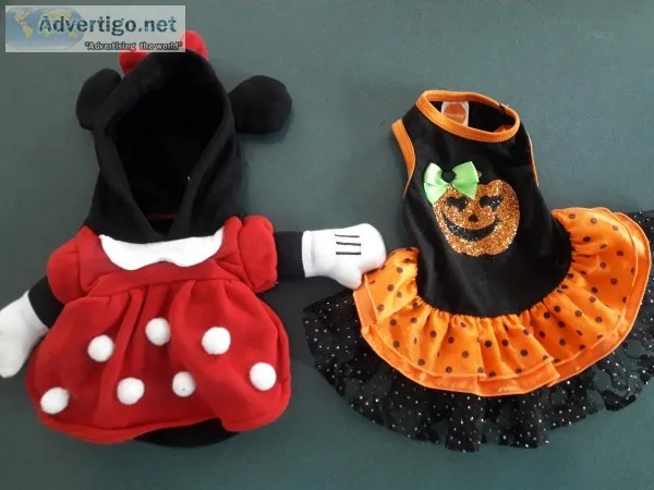 Small dog clothes