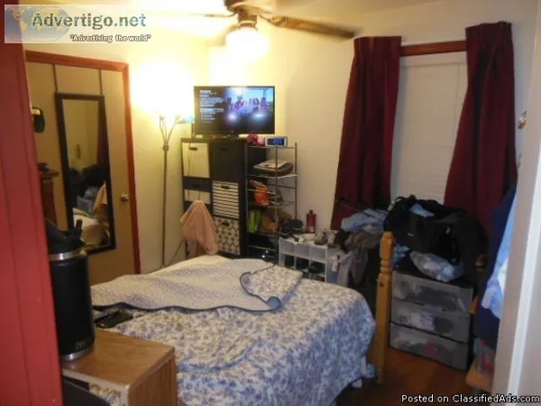 Room for Rent