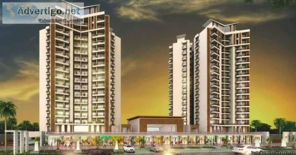 Ace Divino 2 BHK  study in Noida extension  8800904942