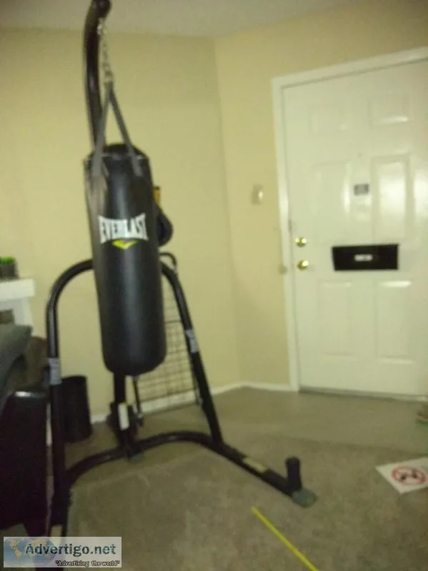 Everlast punching bag with stand