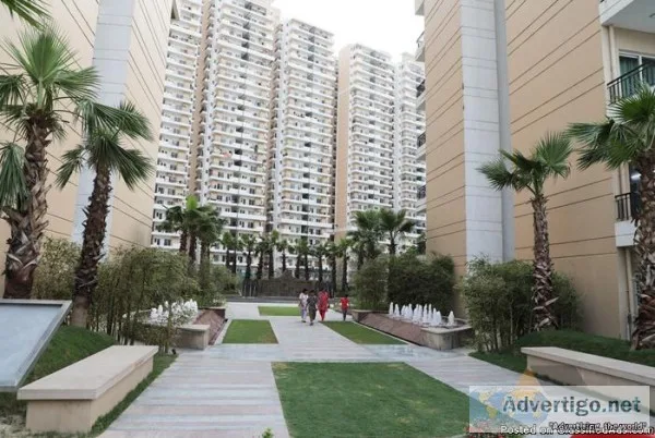 Book Mind-blowing residential flat at ACE City Call 9250677000