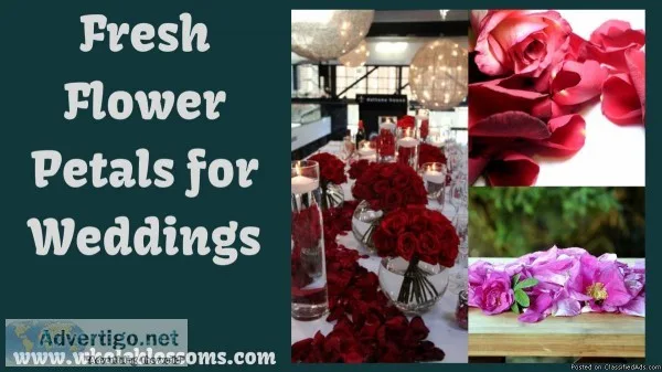 Get Flower Petals for Wedding at Affordable Price