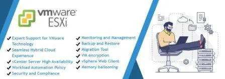 Vmware Server Management and Support Services