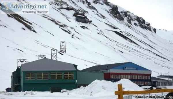 Find local food with Polar Permaculture in Svalbard