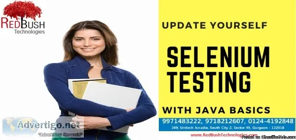 Best Selenium Training in Gurgaon
