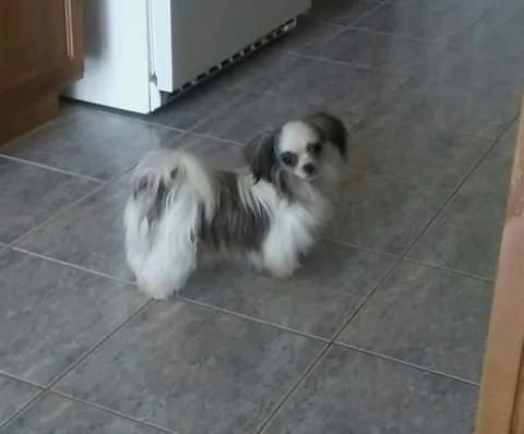 Mi-Ki female