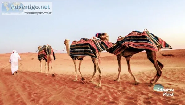 Dubai desert safari best deal