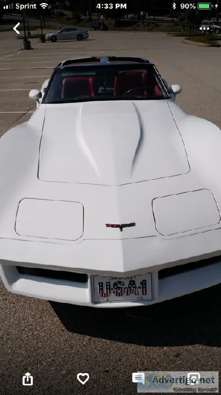 1981 corvette