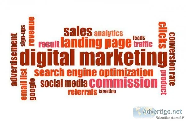 Digital Marketing in Vadodara