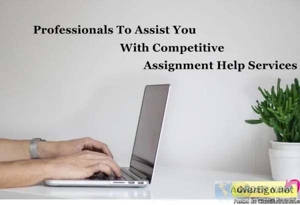 Assignment Help UK