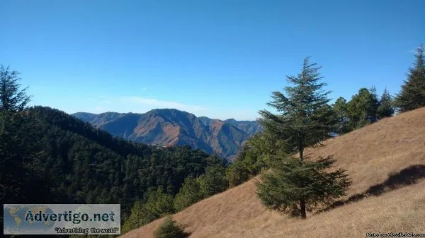 Top Upcoming Events in Shimla - TripHermit Expeditions