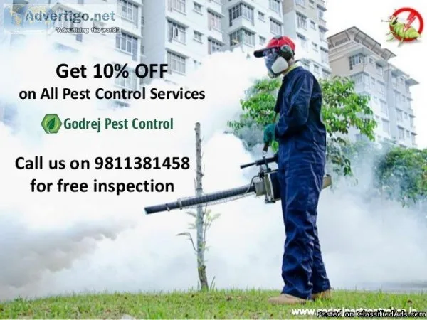 Bedbugs and Termite treatment Delhi call 91-9811381458
