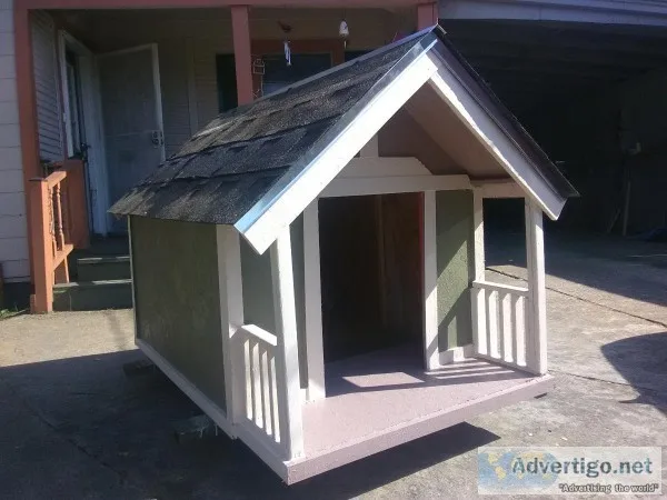 new dog houses