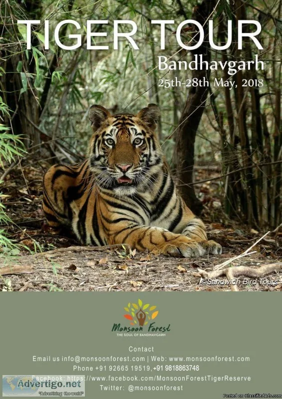 bandhavgarh tour packages